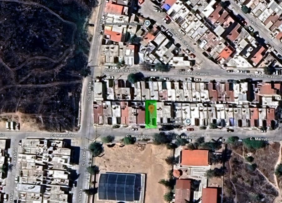 place photo 6