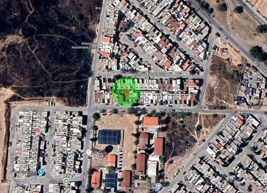 place photo 7