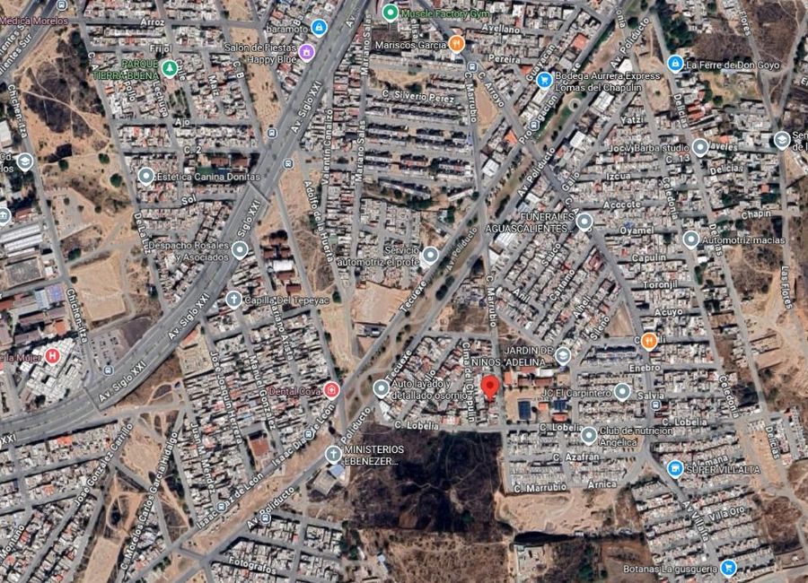place photo 37