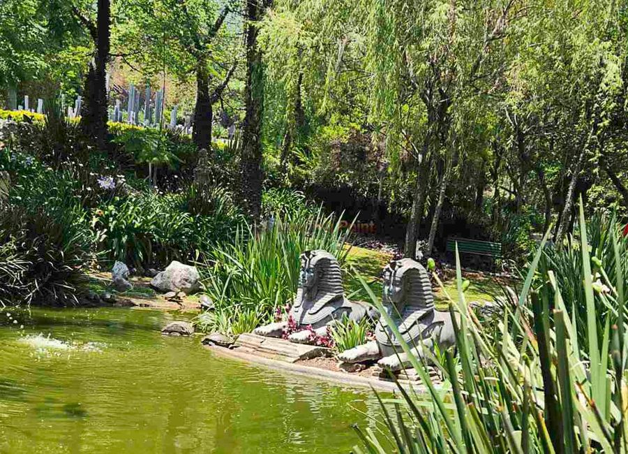 place photo 11
