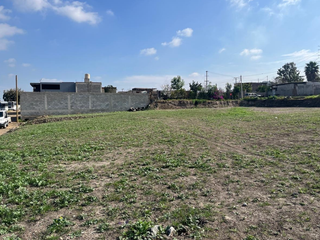 Terreno en Renta - Viñedos Casa Blanca
