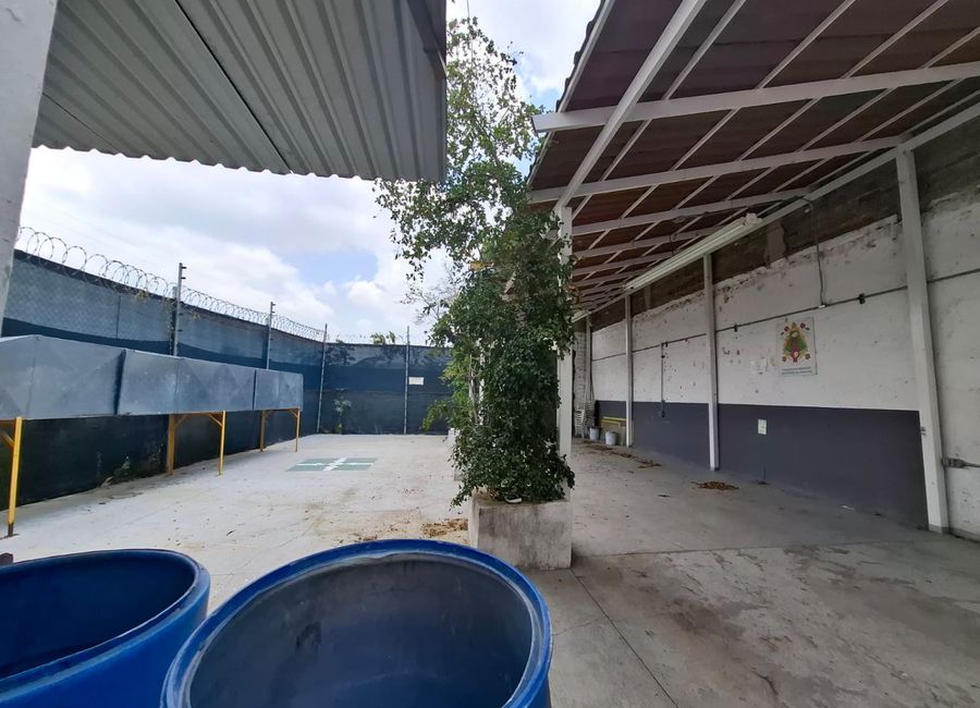 place photo 47