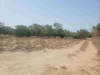 Terreno zona Diamante para desarrollar