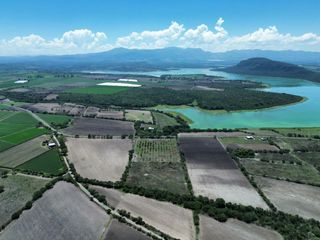 "Terreno Agrícola en Producción Activa"