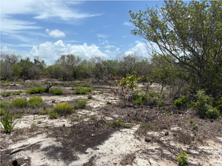 TERRENO EN PLAYA DE CELESTÚN