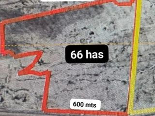 Terreno Industrial de m² en Venta en La Esmeralda