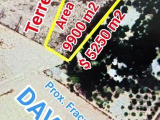 Terreno 9907 m² en Venta en Los Valdez