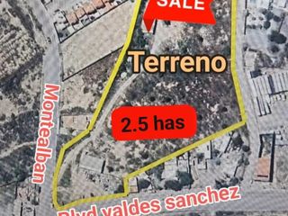 Terreno en Venta 2.5 Ha