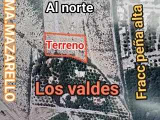Terreno en Venta 10,000 m² Al Norte