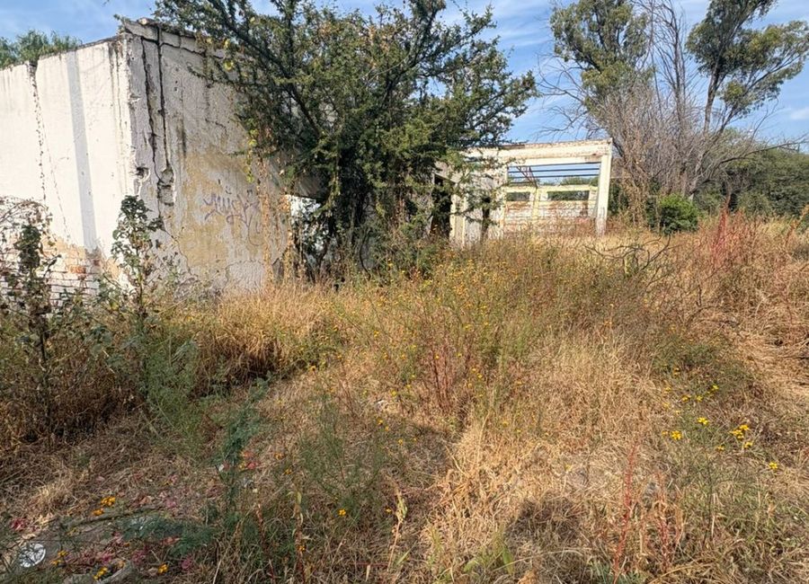 place photo 12