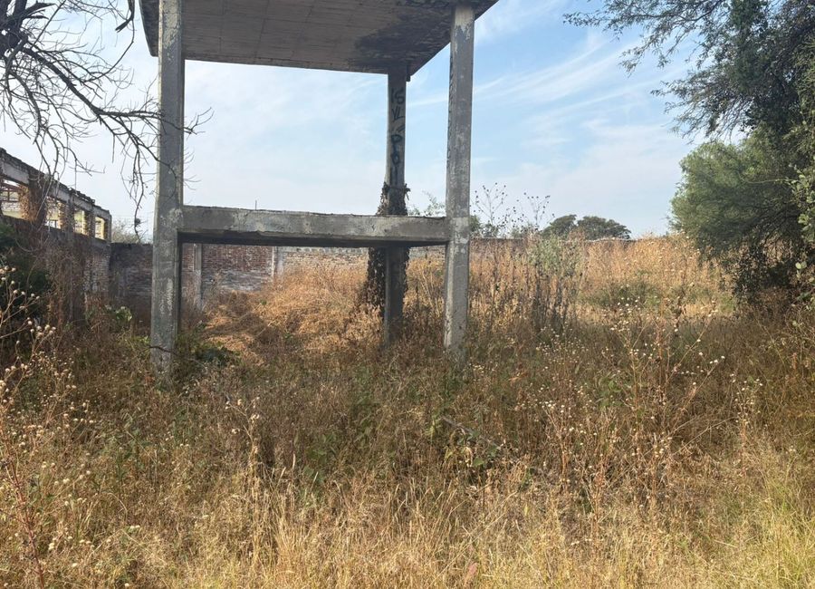 place photo 15