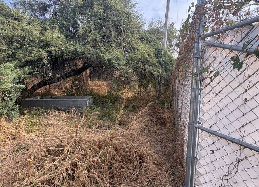 place photo 14
