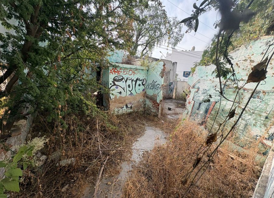 place photo 13