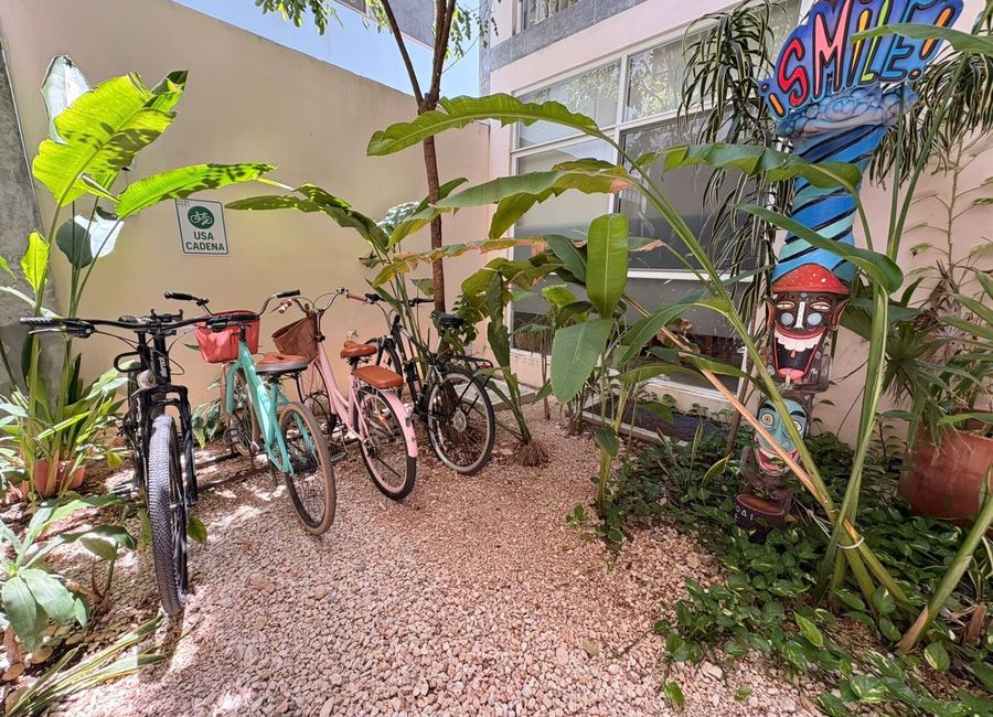 place photo 19