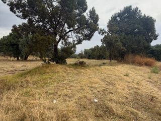 🌳✨ ¡GRAN OPORTUNIDAD DE INVERSIÓN! ✨🌳