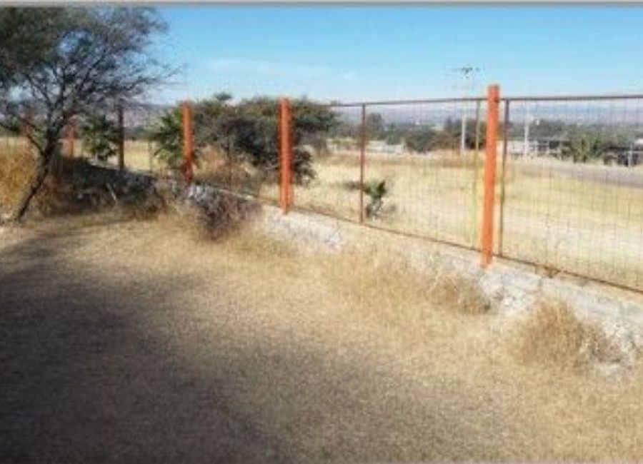 place photo 15