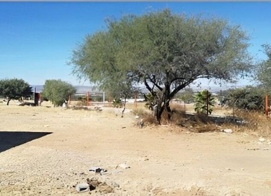 place photo 18