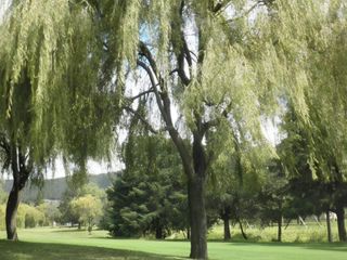 TERRENO EN VERGEL DE LA SIERRA