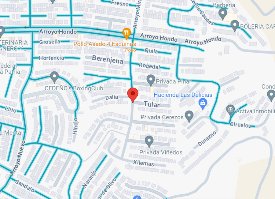 place photo 7