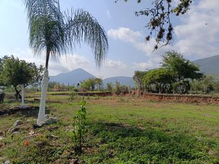 Invierte en Tancama: Terreno Plano con Gran Potencial
