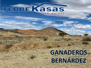 Terreno en Venta en Zacatecas, en Col. Ganaderos Bernárdez