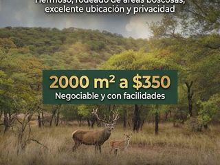 terreno Campestre en venta  en Vergel de la Sierra