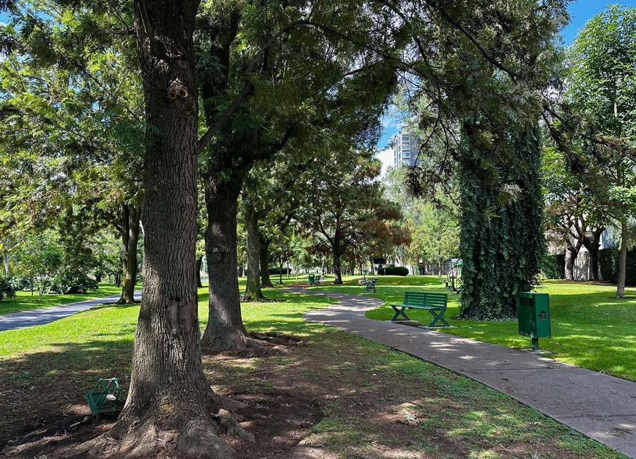 place photo 35