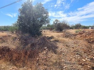 DOS TERRENOS EN VENTA EN VALLE DE SAN PEDRO