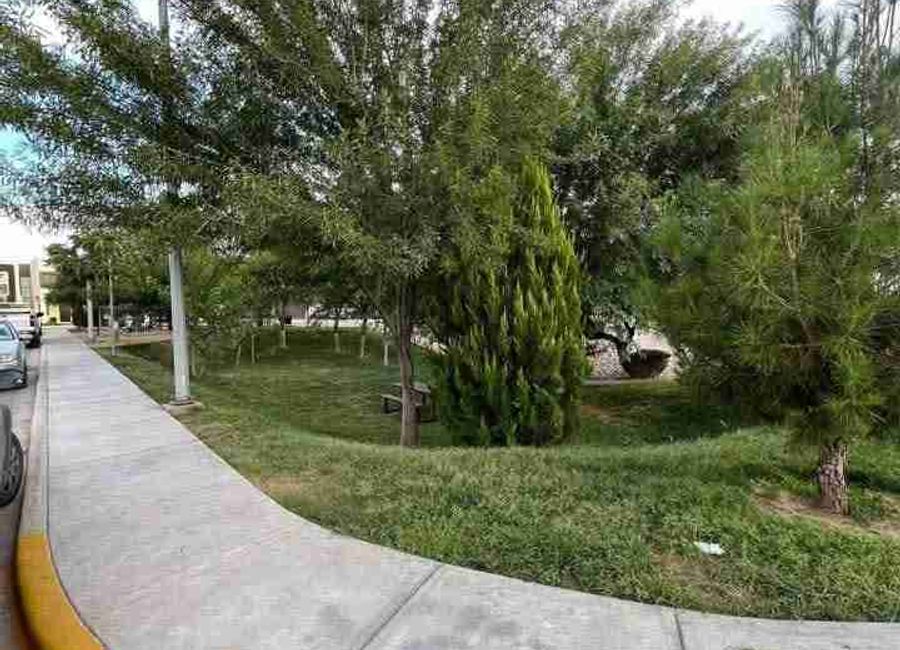 place photo 35