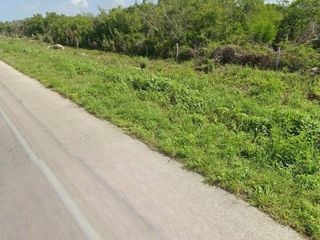 Terreno en Venta en Chicxulub Pueblo, Yucatán