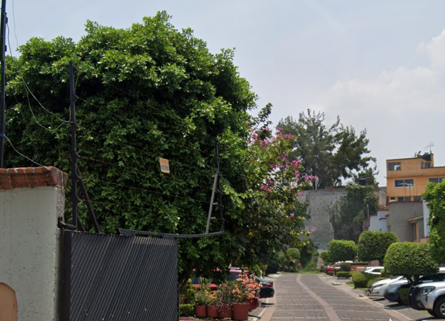 place photo 5