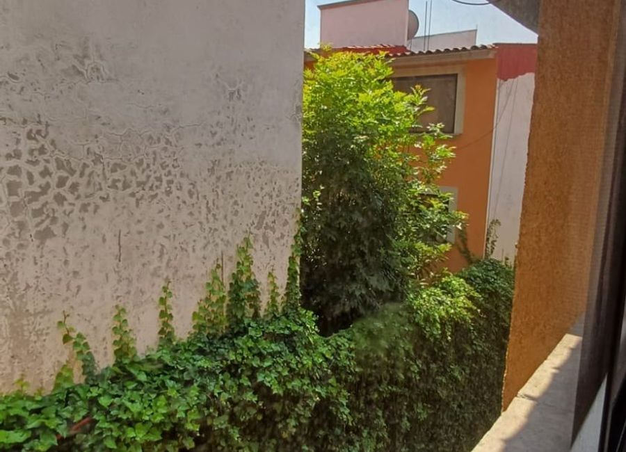 place photo 35