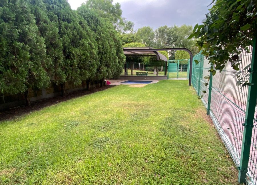 place photo 29