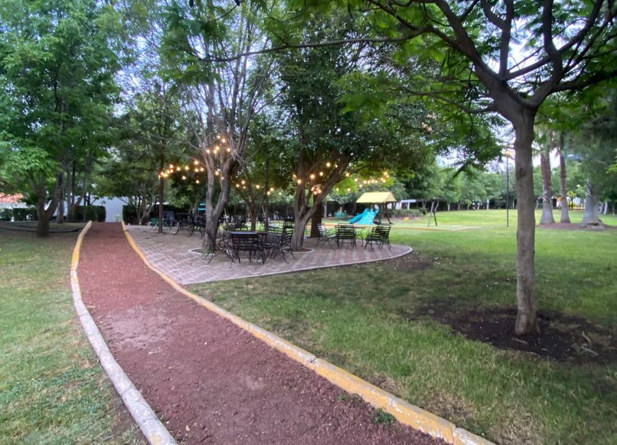 place photo 33