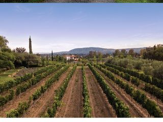 EN VENTA | TERRENO EN VIÑEDO. SALIDA A DOLORES HIDALGO, SAN MIGUEL DE ALLENDE