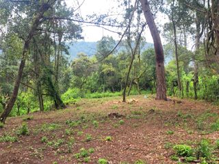 Venta de terreno plano Valle de Bravo