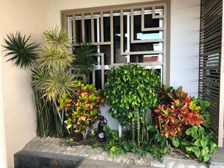 Casa En Renta De 343 M2 En Paseos Del Bosque