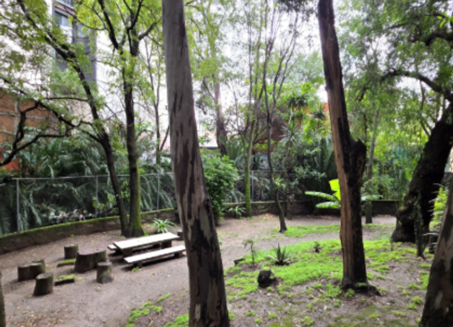 place photo 7