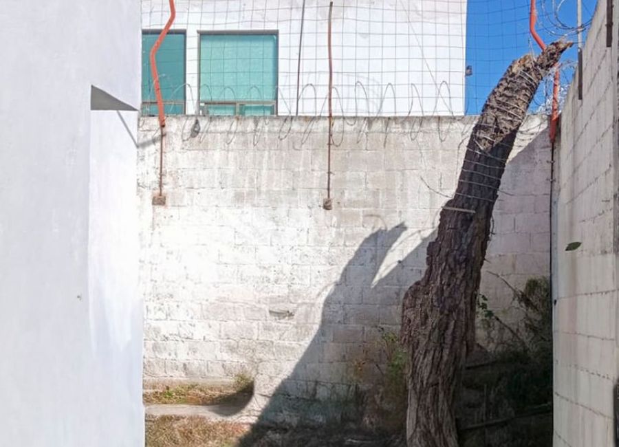 place photo 25