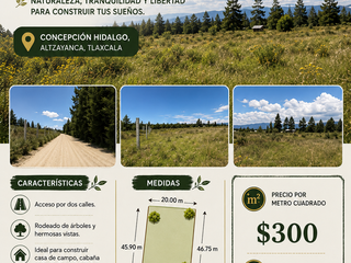 En venta terreno rústico campestre en Concepción Hidalgo, Tlaxcala
