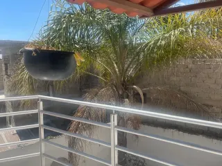 CASA EN VENTA EN LOMAS DE LA PRIMAVERA ZAPOPAN JALISCO