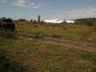 VENTA PARCELA EN APASEO EL GRANDE GTO.