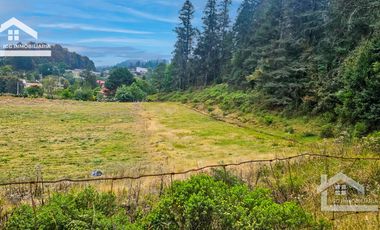 🌲 EXCELENTES LOTES EN VENTA CARBONERAS, MINERAL DEL CHICO✨