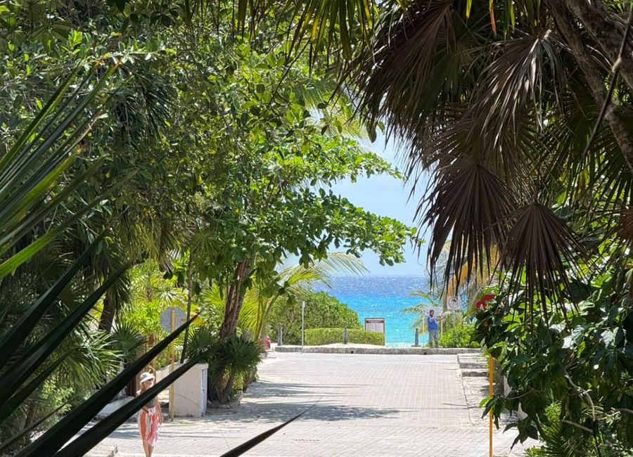 place photo 39