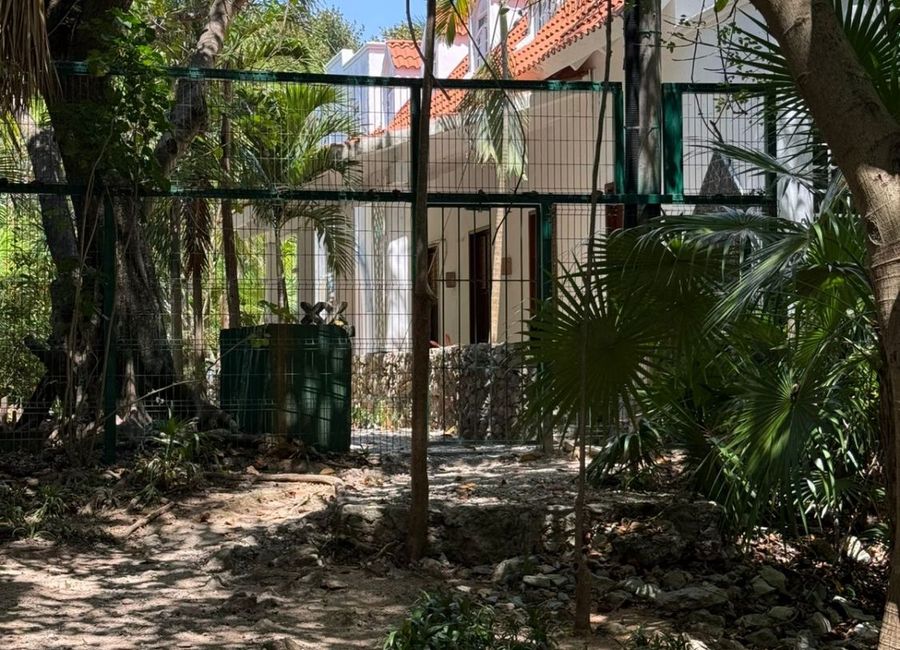 place photo 38