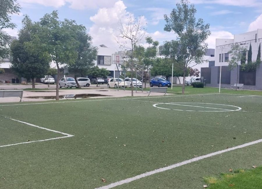 place photo 19