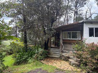 Renta de cabaña en el bosque Avandaro