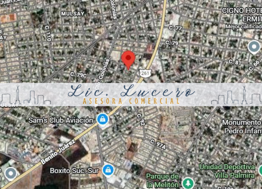 place photo 11