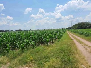 Terreno agrícola en venta