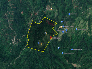 TERRENO DE CULTIVO HUEYAPAN PUEBLA